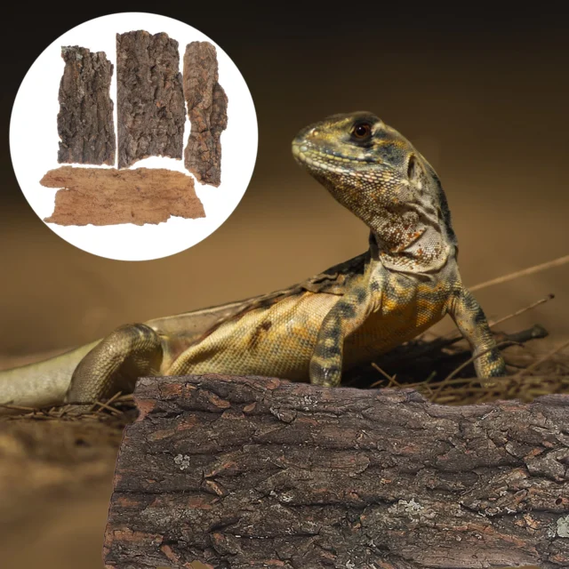 4Pcs Natural Cork Bark Flat Reptile Terrarium Background Decoration For Water Tank Pet Reptile Bark Climbing Tree Bark Decor - Image 2