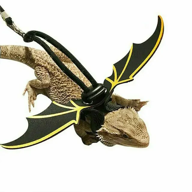 Adjustable Reptile Lizard Gecko Bearded Dragon Harness and Leash for Outdoor Pet Chameleon Supplies - Image 5