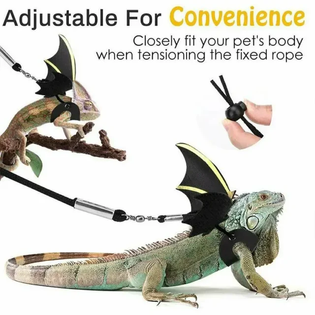 Adjustable Reptile Lizard Gecko Bearded Dragon Harness and Leash for Outdoor Pet Chameleon Supplies - Image 6