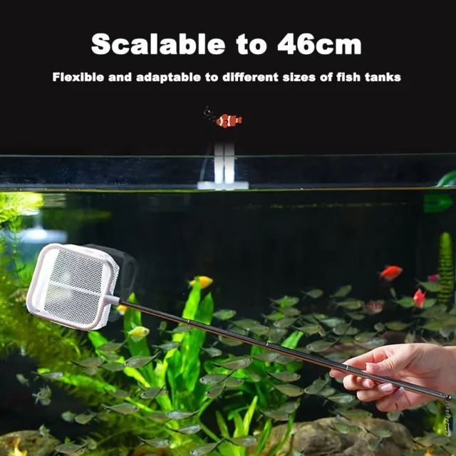 Aquarium Square Fishing Net With Suction Cup Extendable Long Handle Fishing Gear For Catching Fish Shrimp Tank Clean Accessories - Image 5