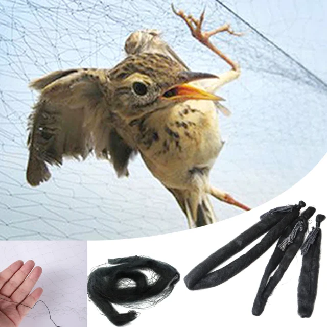 Dropshiping Bird Net Anti Bird Catcher Netting Pond Net Fishing Net Traps Crops Fruit Tree Flower Garden Mesh Pest Control Tool - Image 4