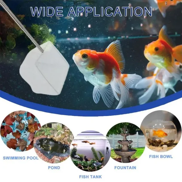 Fish Net Aquarium Cleaning Retractable 3D Stainless Steel Pocket Shrimp Catching Fish Tank Cleaning Net For Small Pond And Pool - Image 4