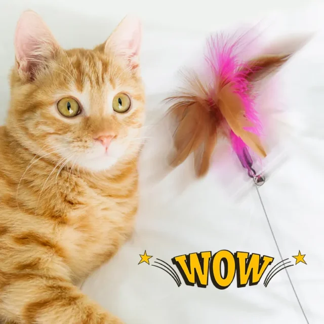 Interactive Cat Toys Funny Feather Teaser Stick with Bell Pets Collar Kitten Playing Teaser Wand Training Toys for Cats Supplies - Image 2