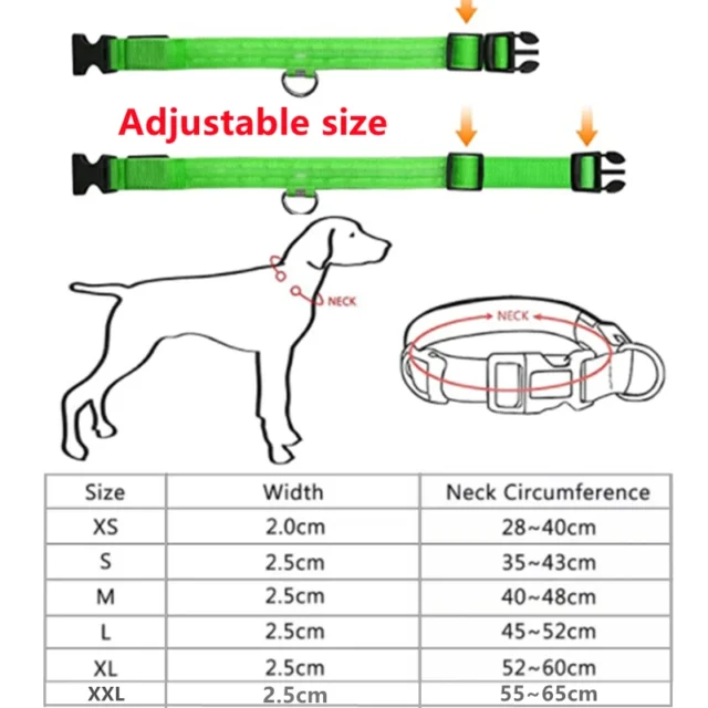 LED Glowing Dog Collar Adjustable Flashing Rechargea Luminous Collar Night Anti-Lost Dog Light HarnessFor Small Dog Pet Products - Image 2