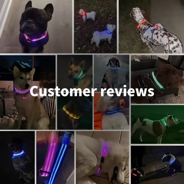 LED Glowing Dog Collar Adjustable Flashing Rechargea Luminous Collar Night Anti-Lost Dog Light HarnessFor Small Dog Pet Products - Image 6