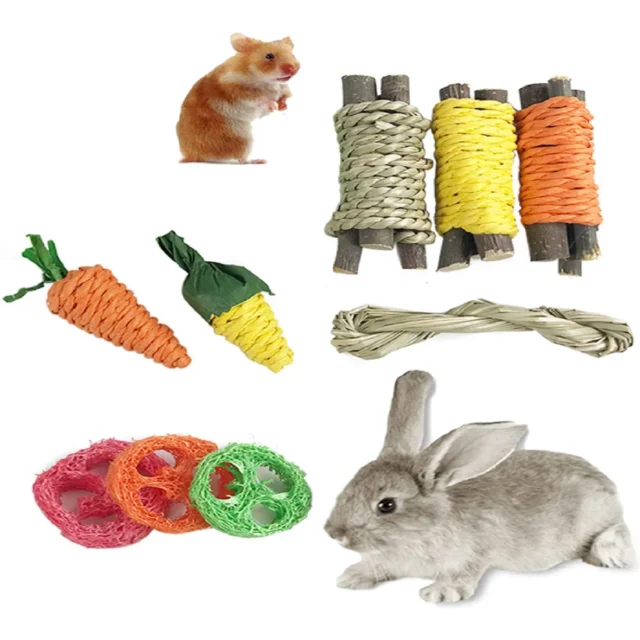 Pet Rabbit Guinea Pig Dragon Cat Fun Toy Hamster Rabbit Rabbit Tooth Grinding Set Pet Tooth Grinding Snacks - Image 2