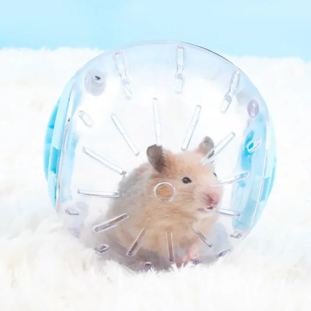 Plastic Outdoor Sport Ball Grounder Rat Small Pet Mice Jogging Ball Toy Hamster Gerbil Exercise Ball Play Toy Small Pet Supplies - Image 2