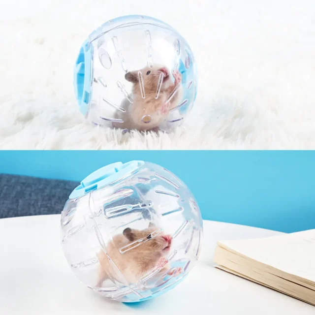 Plastic Outdoor Sport Ball Grounder Rat Small Pet Mice Jogging Ball Toy Hamster Gerbil Exercise Ball Play Toy Small Pet Supplies - Image 3