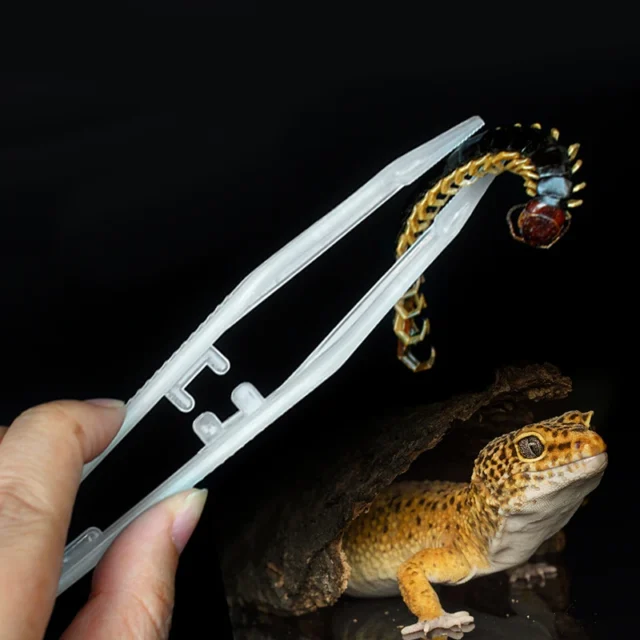 Reptile Tweezers Noctilucence Clip Feeding Tongs Live Food Feeding Clamp Litter Terrarium Cleaning and Feeding