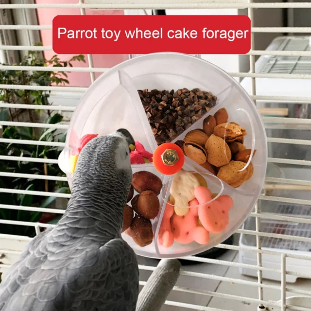 Rotate Parrot Foraging Toy Creative Chewing Bird Bite Toy Wheel Shape Birds Puzzle Feed Food Box Parakeet Cockatiel Conure - Image 4