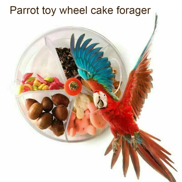 Rotate Parrot Foraging Toy Creative Chewing Bird Bite Toy Wheel Shape Birds Puzzle Feed Food Box Parakeet Cockatiel Conure - Image 5