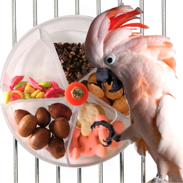 Rotate Parrot Foraging Toy Creative Chewing Bird Bite Toy Wheel Shape Birds Puzzle Feed Food Box Parakeet Cockatiel Conure