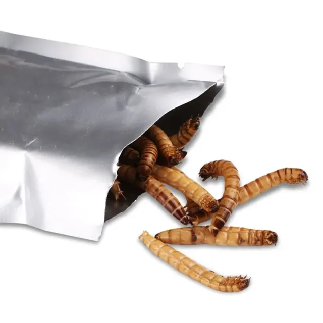 SUNSUN 140g Natural Dried Mealworm Food Meal For Feeding Pet Reptile Chickens Wild Garden Bird Aquarium Worm - Image 6